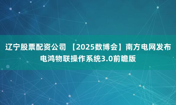 辽宁股票配资公司 【2025数博会】南方电网发布电鸿物联操作系统3.0前瞻版